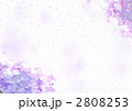 紫陽花