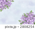 紫陽花　水彩