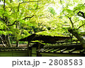 大徳寺　高桐院