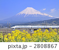 新幹線と富士山-5364