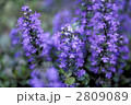 66756
