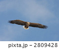 2809428