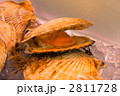 ホタテ