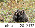 サル
