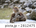 サル