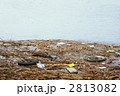 川の粗大ゴミ_横