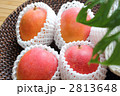 アップルマンゴー