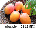 アップルマンゴー