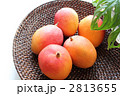 アップルマンゴー