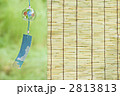夏の風