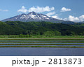 水田と岩木山