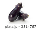 茄子