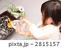 水やりをする女の子