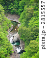 新緑の二重滝