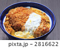 見下ろすカツ丼
