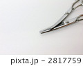 シザー