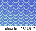 2818917