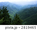 深緑の渓谷
