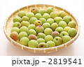 南高梅（1ｋｇ）