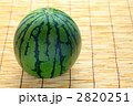 スイカ1個