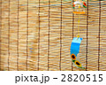 風鈴