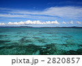 珊瑚礁の海
