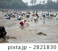 楽しい潮干狩り