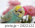んっ!?  なあに!?