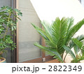 夏の暑さ対策＿サンシェード