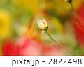 目覚め