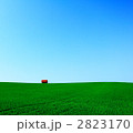 エソラ