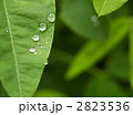 水滴