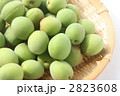 あおうめ