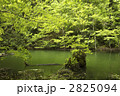 青森　白神　十二湖