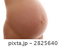 マタニティ
