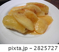 2825727