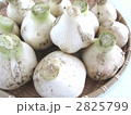 ニンニクごろごろ