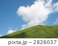 2826037