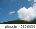 2826039