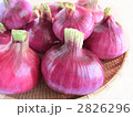紫玉ねぎ