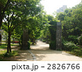 緑のアーチ