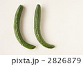キュウリ２本　Ｌ字