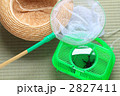 夏休み