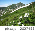 立山