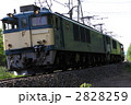 2828259