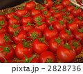 2828736