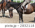 乗馬