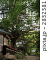 佐渡　長谷寺