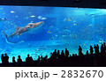 美ら海水族館