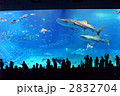美ら海水族館